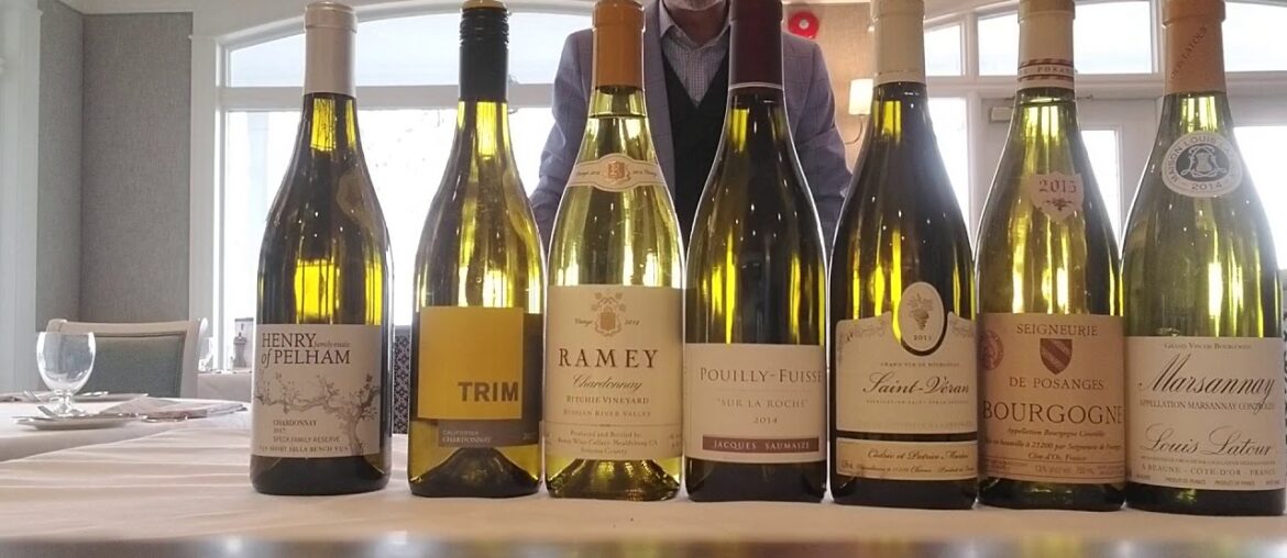 Marcel Wine ChardonnayVideo The Toronto Hunt