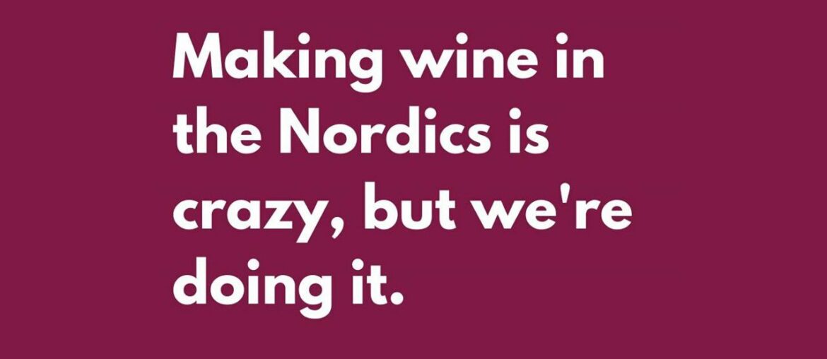 Making wine in the Nordic's is crazy, but we do it