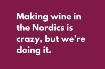Making wine in the Nordic's is crazy, but we do it