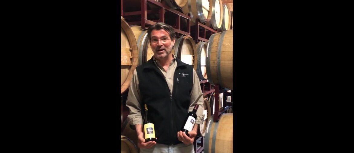 White Horse Winery's Virtual Wine Festival - Second Installment