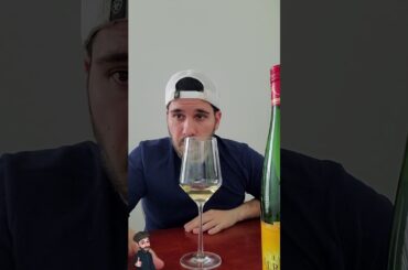 Basics of wine tasting | How to taste wine