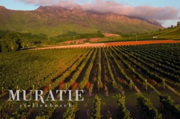 Muratie Wines