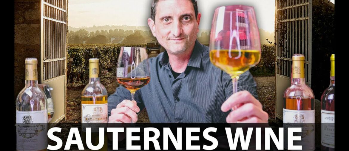 What you Need to Know about Sauternes Wine | Your 5-Minute Guide! What you Need to Know about Sauternes Wine | Your 5-Minute Guide!