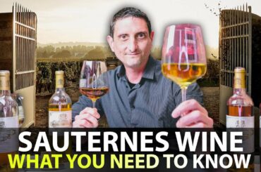 What you Need to Know about Sauternes Wine | Your 5-Minute Guide!