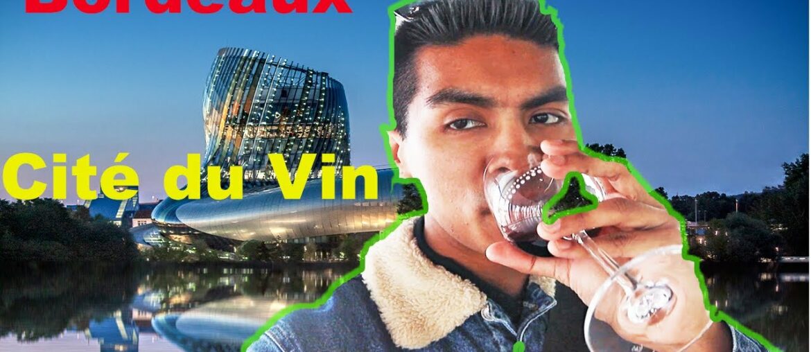 DRINKING FINEST WINE IN BORDEAUX| CITÉ DU VIN|FRANCE|EUROPE|NEPALI TRAVELER| NEPALI VLOG|TRAVEL|