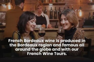 French Bordeaux Wine | French Wine Tours