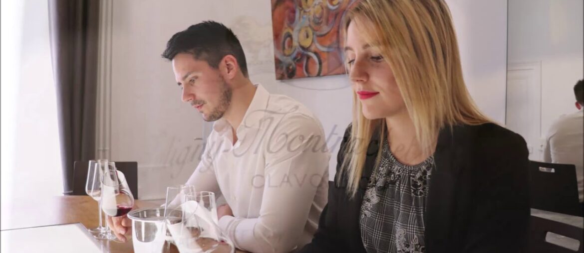 Sensation Vin - Wine Tasting Classes in Beaune