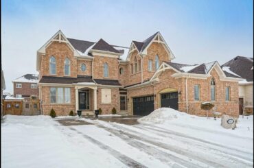 62 French Drive Mono, Team Sukhvinder