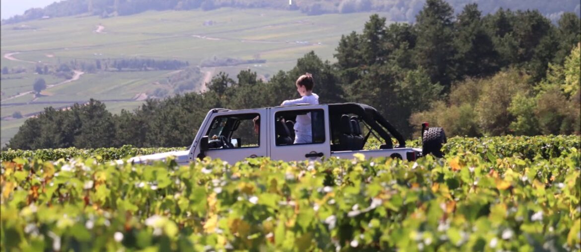 Sensation Vin - Wine Tours in Burgundy
