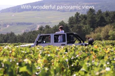 Sensation Vin - Wine Tours in Burgundy