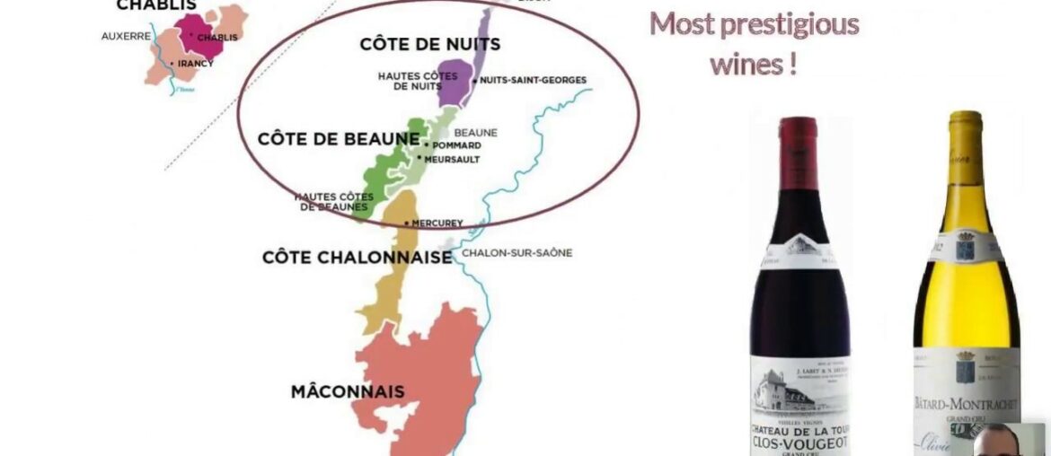 The Burgundy wine region