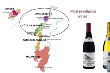 The Burgundy wine region