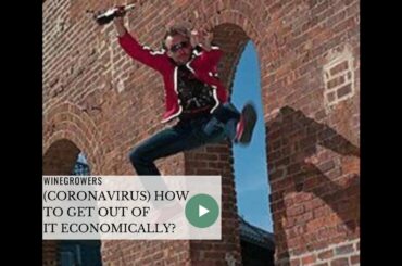 🍷Better sell your wine ?: Corona virus crisis and economic changes