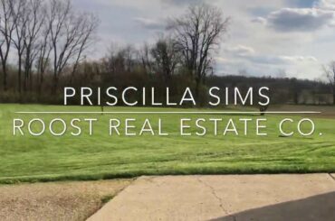 11210 Broadgauge Rd Mechanicsburg Ohio