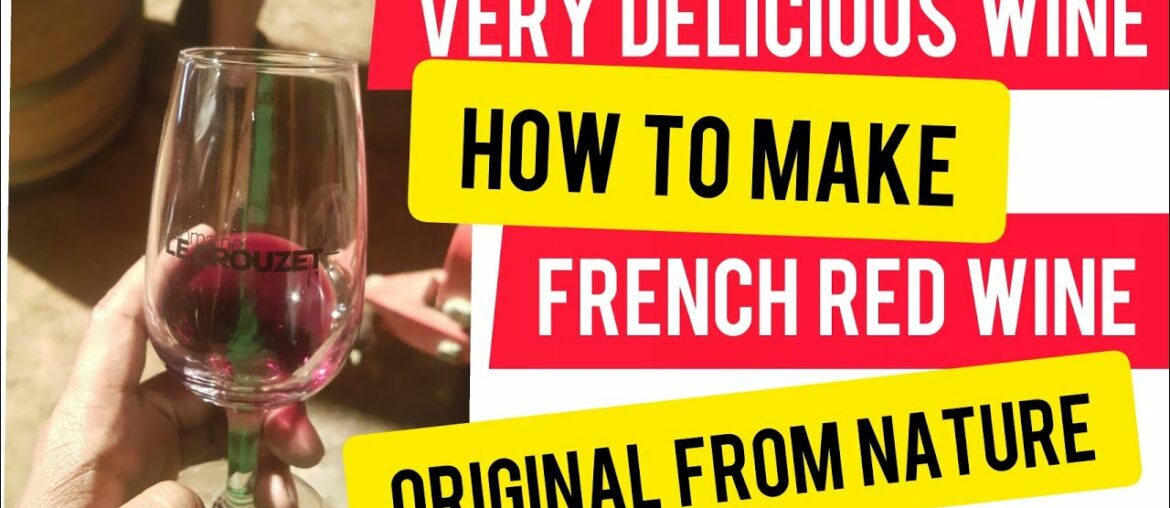 How to make Red Wine - Making Traditional French Red Wine