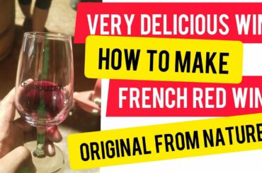 How to make Red Wine - Making Traditional French Red Wine