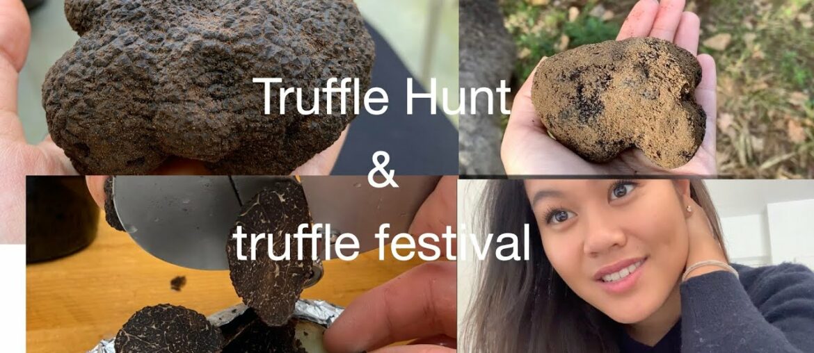 finding TRUFFLES & truffle festival in France.