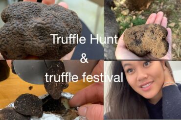 finding TRUFFLES & truffle festival in France.