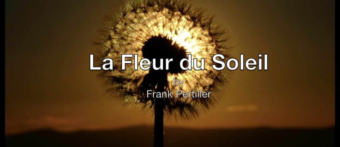 La Fleur du Soleil (Valse Musette)