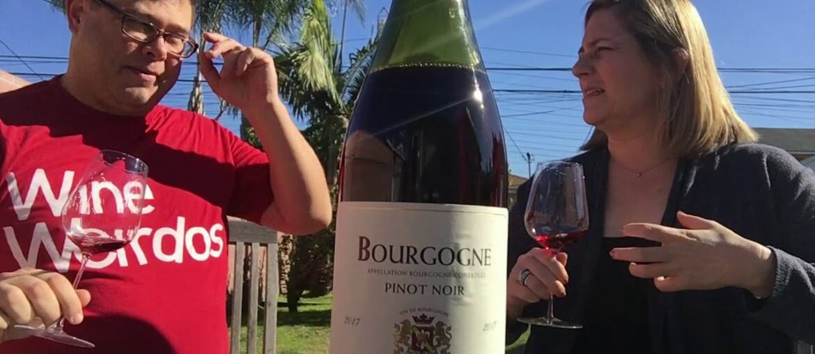 2017 Hubert Delavie Bourgogne Rouge Ligny-le-Chatel France Red Wine