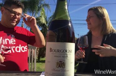 2017 Hubert Delavie Bourgogne Rouge Ligny-le-Chatel France Red Wine