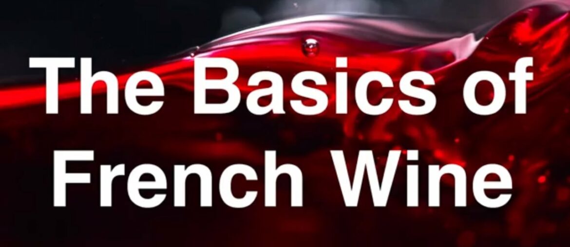 French wine basics- regions, grapes, wines