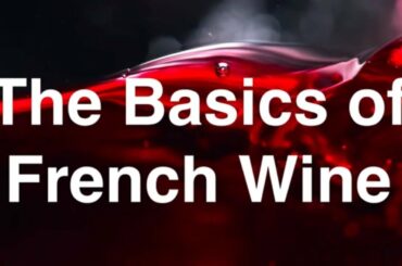 French wine basics- regions, grapes, wines