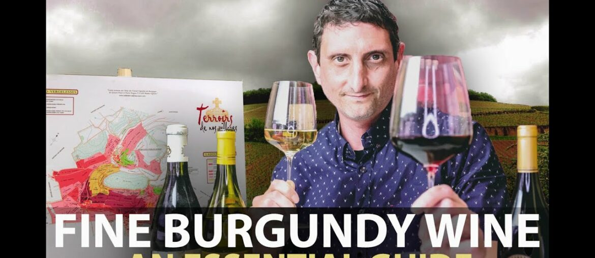 10-Minute Guide to Burgundy | Fine Wines from Bourgogne Part.#1