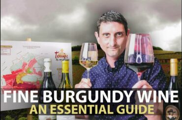 10-Minute Guide to Burgundy | Fine Wines from Bourgogne Part.#1