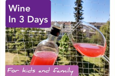 Instant Home Wine | 3 ദിവസം കൊണ്ട് മുന്തിരി വൈൻ | Healthy Wine | Easy Grape Wine | Shalins Kitchen |