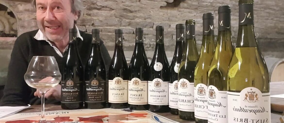 Domaine de Mauperthuis - Chablis