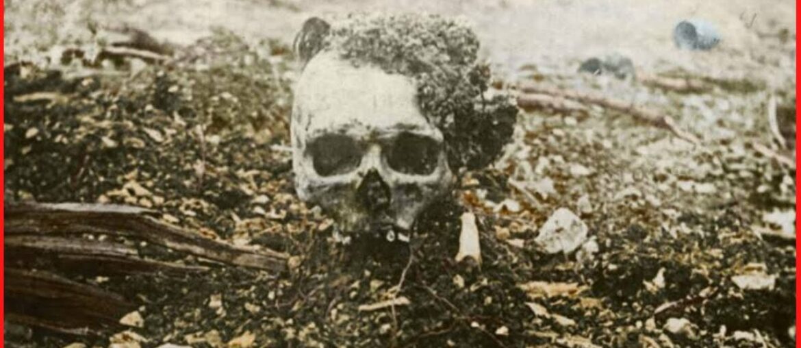 THE HORRORS OF WORLD WAR I (COLORIZED PHOTOS) THE HORRORS OF WORLD WAR I (COLORIZED PHOTOS)