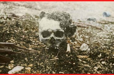 THE HORRORS OF WORLD WAR I (COLORIZED PHOTOS)