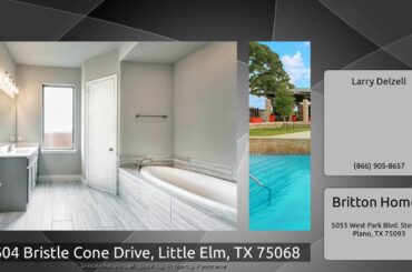 3604 Bristle Cone Drive, Little Elm, TX 75068
