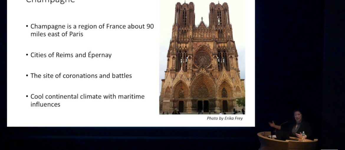 The Stars of Paris: Food and Drink during the Belle Époque