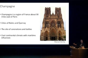 The Stars of Paris: Food and Drink during the Belle Époque