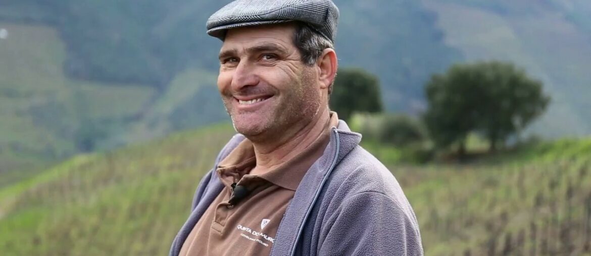 1947 Planted Vines | Old World Wines  by Wine Adore Singapore www.wineadore.com