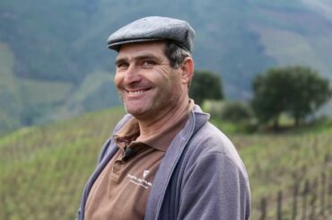 1947 Planted Vines | Old World Wines  by Wine Adore Singapore www.wineadore.com