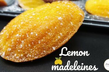 Madeleine Recipe | French easy ultimate recipe