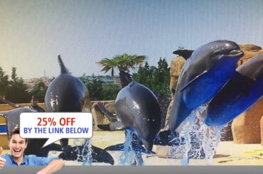 Residence L Anjouan, Antibes, France review