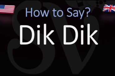 How to Pronounce Dik Dik? (CORRECTLY) Africa Animal Pronunciation