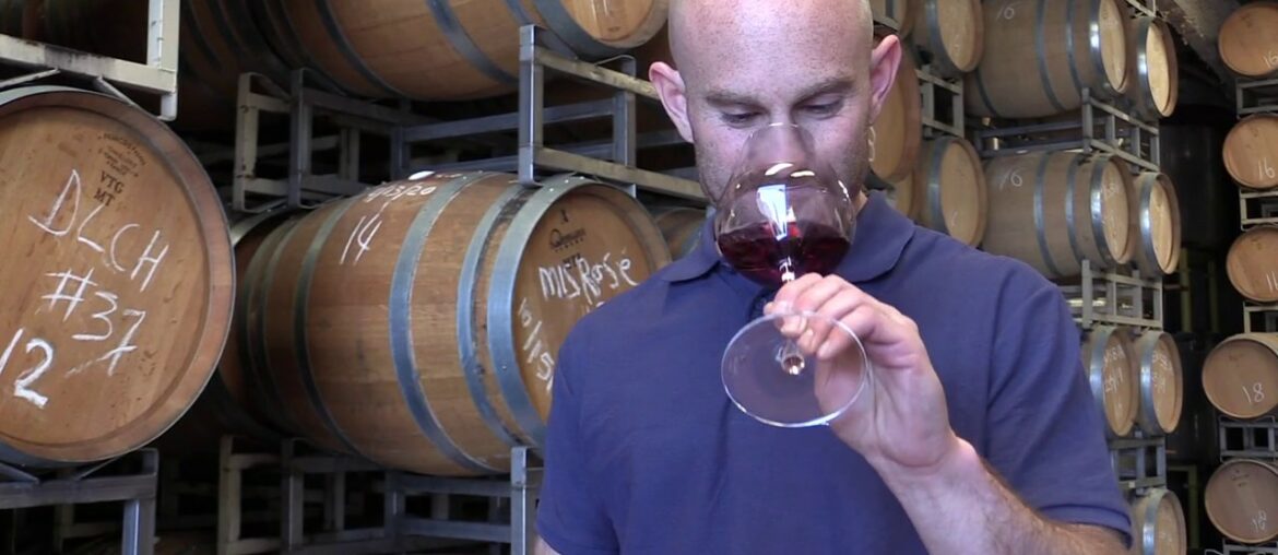 Twelve Clones Pinot Noir Twelve Clones Pinot Noir