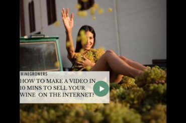 🍷How to make a video in 10 minutes to sell your wine without stress on the internet?