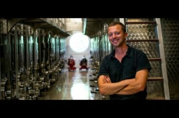 Wine Berserkers Zoom Session with Cedric Mousse of Moussé Fils