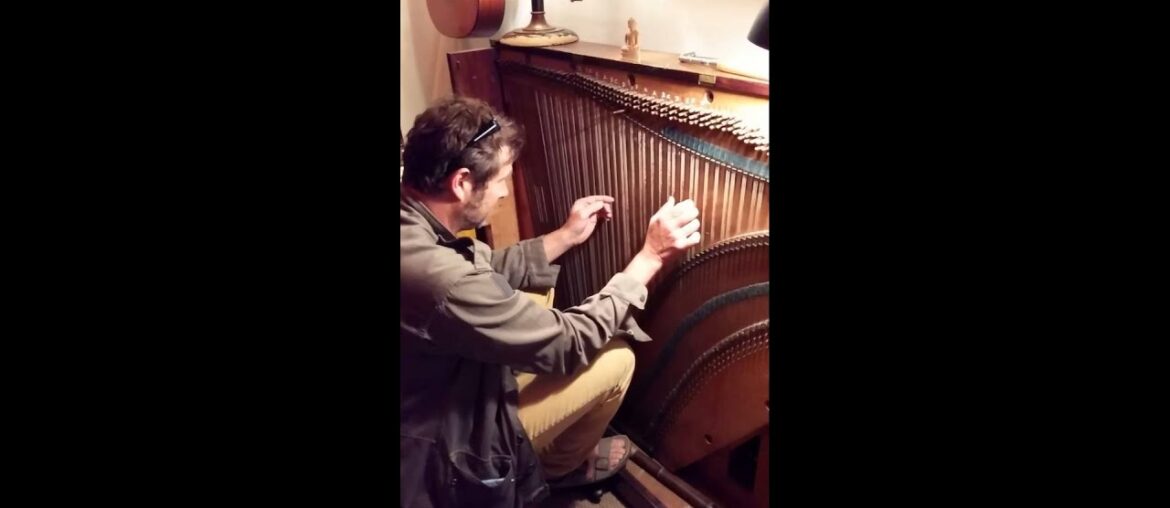 My friend, a musician/artist I met in France.