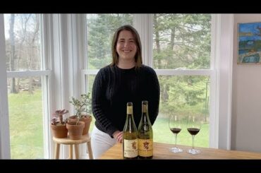 Châteauneuf-du-Pape vs. Côtes du Rhône Teaser: Favorite Red Wines From France