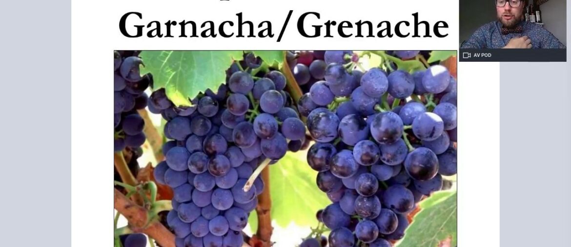 Grape Varieties: Garnacha/Grenache/Cannonau Advanced Version for WSET L3 and 4 Grape Varieties: Garnacha/Grenache/Cannonau Advanced Version for WSET L3 and 4