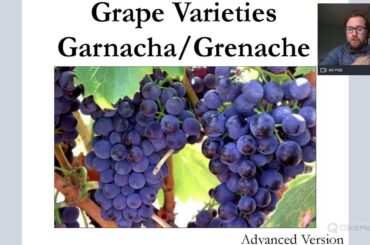 Grape Varieties: Garnacha/Grenache/Cannonau Advanced Version for WSET L3 and 4