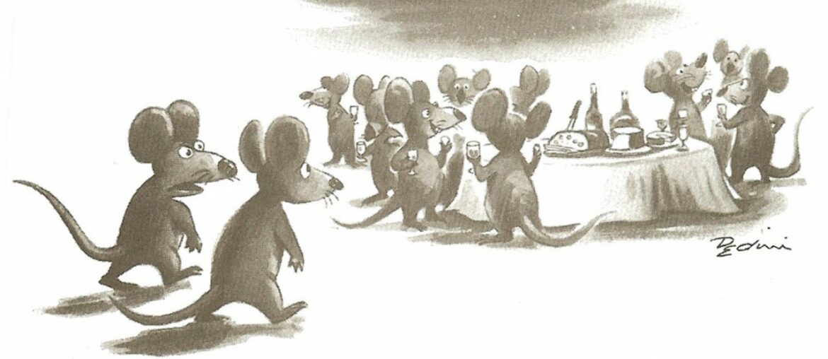 Virtual Tasting #6: World of Wine and Cheese