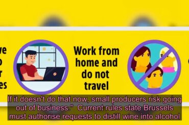 One billion bottles of wine could go to waste as vineyards run out of storage with pubs shut  - Live